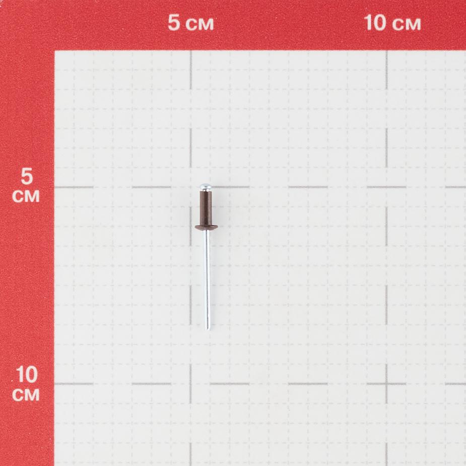 Заклепка вытяжная 3,2x8 мм алюминий/сталь коричневая RAL 8017 (100 шт.) Заклепка вытяжная 3,2x8 мм алюминий/сталь коричневая RAL 8017 (100 шт.)